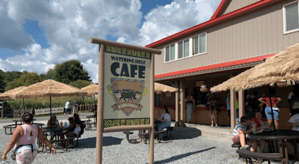 This Safari Park In Virginia Also Has A Restaurant And It’s Fun For The Whole Family