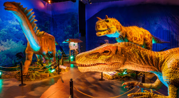 There’s A Dinosaur-Themed Attraction In Massachusetts Called Dino Safari