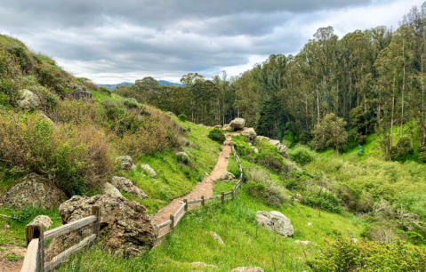 This Easy 1.8-Mile Loop Trail Will Lead You Through A Northern California Canyon