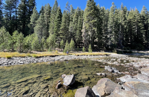 An Easy But Gorgeous Hike, Truckee River Trail, Leads To A Little-Known River In Northern California