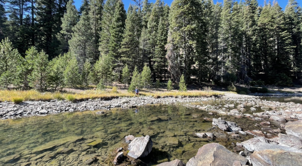 An Easy But Gorgeous Hike, Truckee River Trail, Leads To A Little-Known River In Northern California