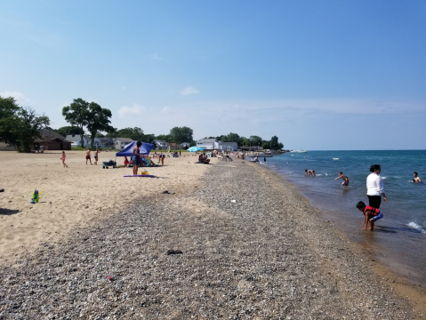 A Trip To This Fossil Beach Near Detroit Is An Adventure Like No Other