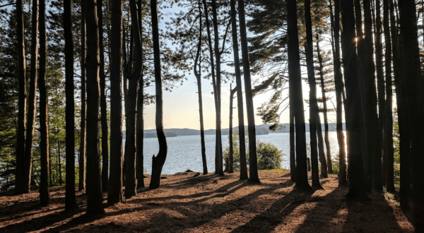 There’s A New 150-Site Campground Coming To The Southwestern Adirondacks