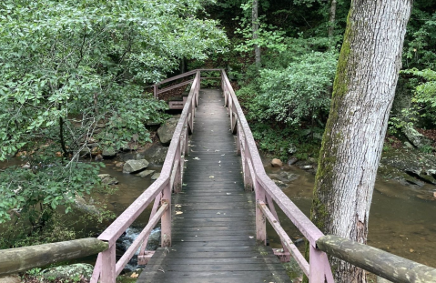 With Stream Crossings and Footbridges, The Little-Known Otter Creek Trail In Virginia Is Unexpectedly Magical