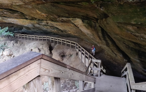 With Stream Crossings and Footbridges, The Hemlock Bridge Trail In Ohio Is Unexpectedly Magical