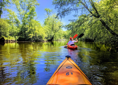 The Ipswich River Might Just Be The Best Place For Beginner Kayakers In Massachusetts