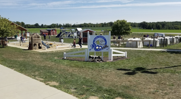 Take A Family Drive, Stop For Ice Cream, And Pet Adorable Animals At Moo-Ville Creamery In Michigan