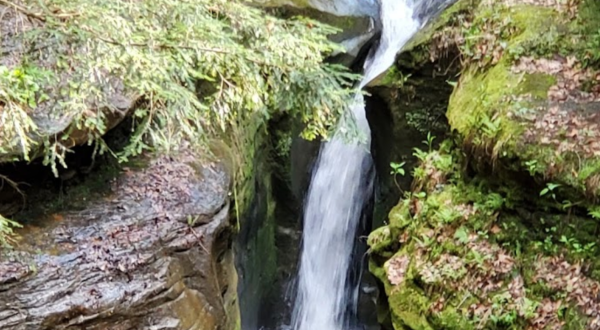 This Ohio Waterfall Is So Hidden, Not Many People Have Seen It In Person