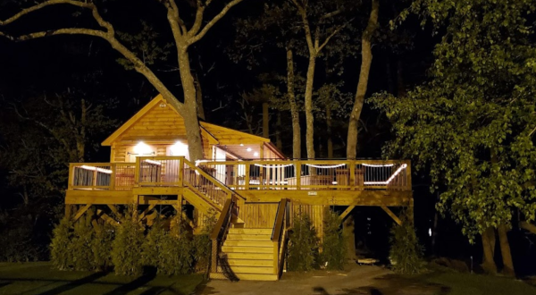 Lucky Dawg Tavern Is A Treehouse Restaurant In Massachusetts That’s Straight Out Of A Fairytale
