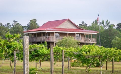 You Can Camp Overnight At This Remote Winery In North Carolina