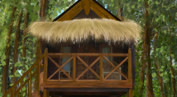 A Safari Tree House & Gypsy Wagons Are Coming To Four Fillies Lodge In West Virginia
