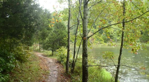 7 Brief But Beautiful Hikes Close To Nashville You Can Take In Under An Hour