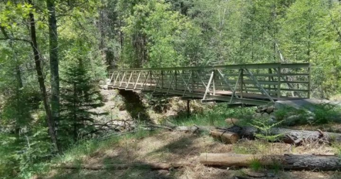 With Stream Crossings And A Footbridge, The Little-Known Bearfoot Trail In Arizona Is Unexpectedly Magical