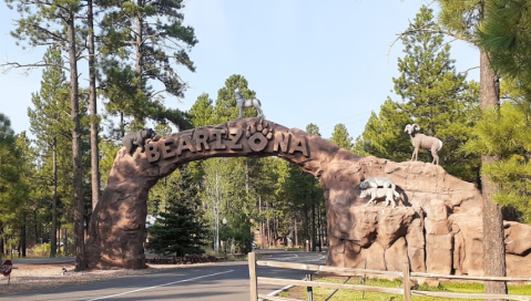 This Bear Park In Arizona Is Also A Restaurant And It's Fun For The Whole Family