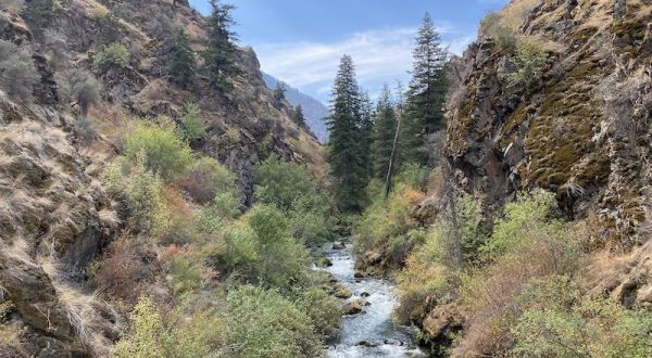 Take A Trail Along An Idaho River That’s Like Hiking Through A Painting