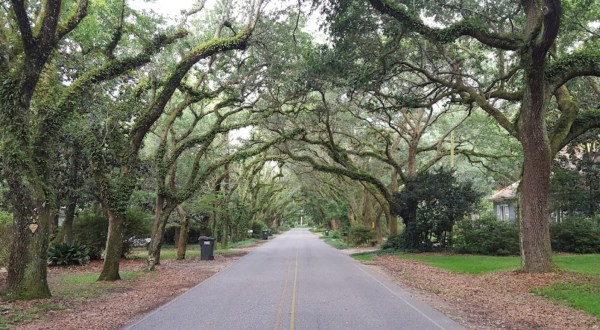 The Stunning Alabama Drive That Is One Of The Best Road Trips You Can Take In America