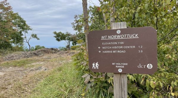 Follow The Mount Norwottuck Trail In Massachusetts For A Truly Magical Spring Season
