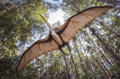 You Have To Visit This Incredible Dinosaur Forest Coming To Maryland