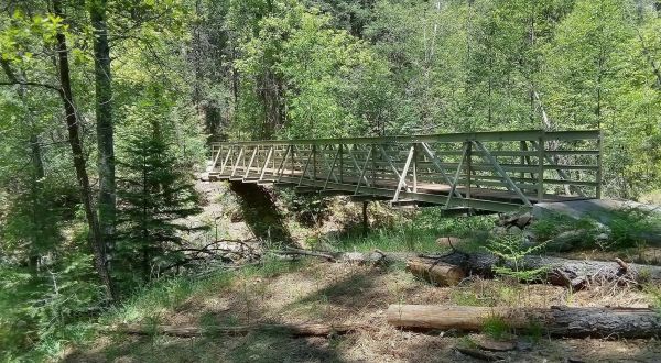 With Stream Crossings And A Footbridge, The Little-Known Bearfoot Trail In Arizona Is Unexpectedly Magical
