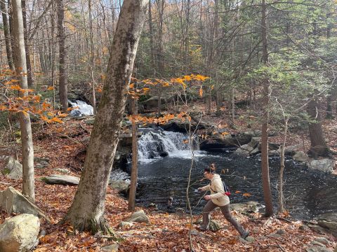 Apshawa Preserve’s Green Loop Is A Beginner-Friendly Waterfall Trail In New Jersey That's Great For A Family Hike