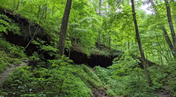 Follow The Low Gap Trail In Indiana For A Truly Magical Spring Season