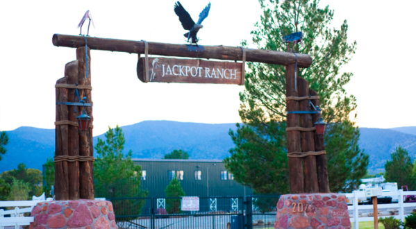 One Of The Best Campgrounds For Families, Jackpot Ranch In Arizona Boasts A Playground, Tree House, And Petting Zoo