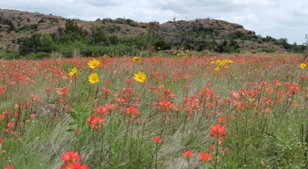 Follow The Crab Eyes Trail In Oklahoma For A Truly Magical Spring Season