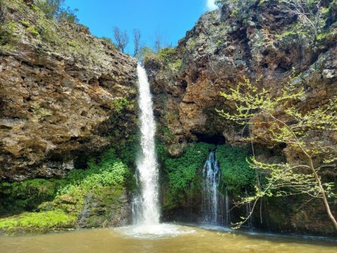 Hike Less Than A Mile To This Spectacular Waterfall  In Oklahoma