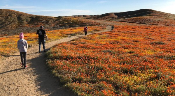 If There Are Only 4 Family Hikes You Ever Take In Southern California, Follow These Easy Trails