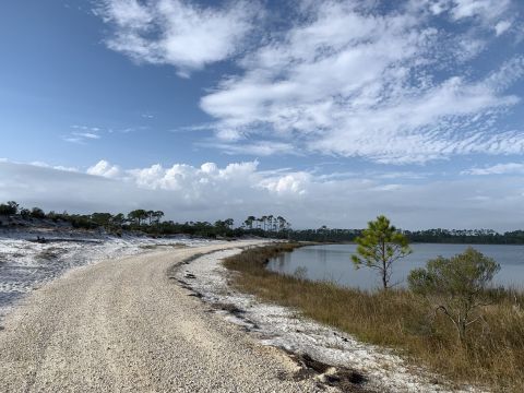 Follow A Sandy Path To The Waterfront When You Hike Pine Beach Trail In Alabama
