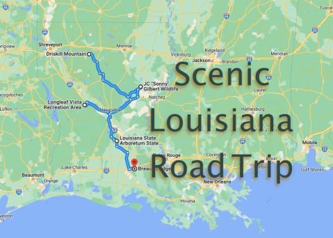 The Scenic Road Trip That Will Make You Fall In Love With The Beauty Of Louisiana All Over Again