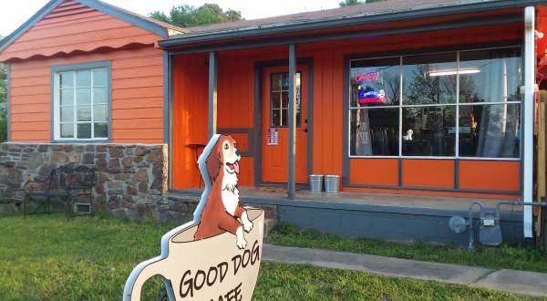 This Doggy Park In Arkansas Is Also A Restaurant And It’s Fun For The Whole Family