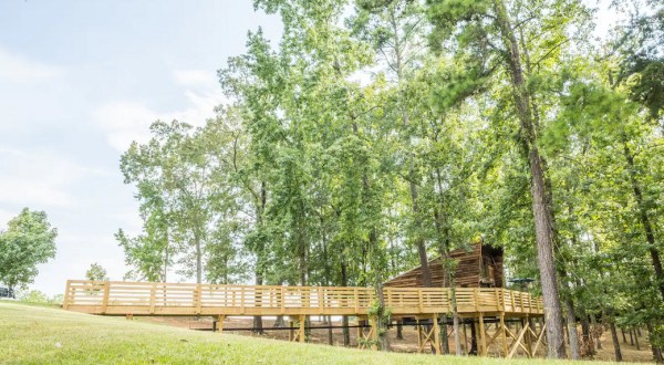 Sleep Underneath The Forest Canopy At This Epic Treehouse In Alabama