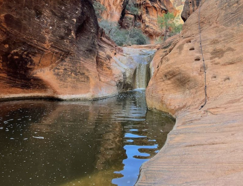This Easy And Scenic Waterfall Hike In Utah Will Impress Every Member Of Your Family