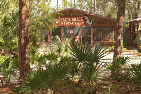 This Alligator Park In Florida Is Also A Restaurant And It's Fun For The Whole Family