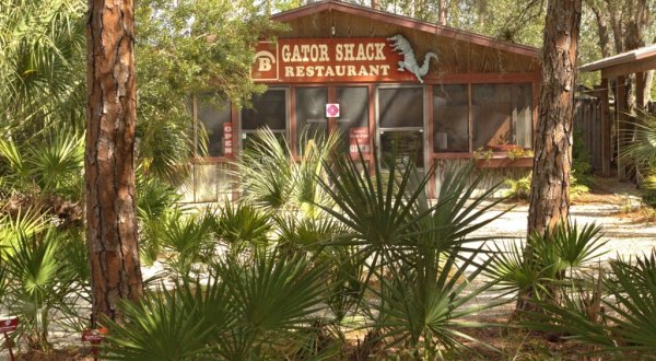 This Alligator Park In Florida Is Also A Restaurant And It’s Fun For The Whole Family