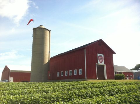 Take The Whole Family On A Day Trip To This Pick-Your-Own Strawberry Farm In Wisconsin