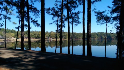 This Exhilarating Hike Takes You To The Most Crystal Blue Lake In Mississippi