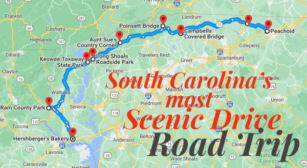 The Stunning South Carolina Drive That Is One Of The Best Road Trips You Can Take In America