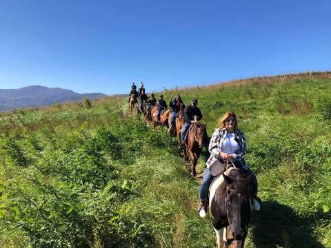 Take A Guided Horseback Ride Through The Vineyards Of Virginia For An Adventure You Won't Soon Forget
