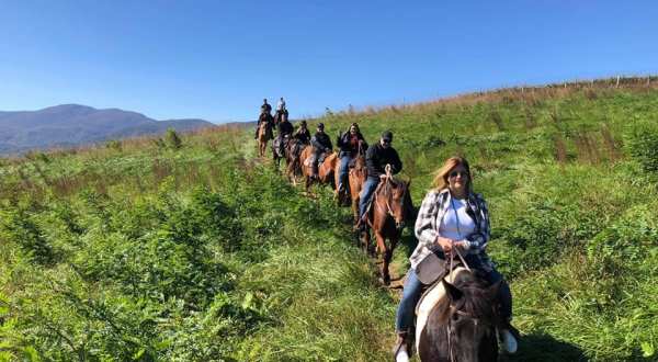 Take A Guided Horseback Ride Through The Vineyards Of Virginia For An Adventure You Won’t Soon Forget