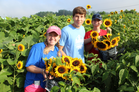 A Colorful U-Pick Flower Farm, Charlie's U-Pik In Mississippi Is Like Something From A Dream