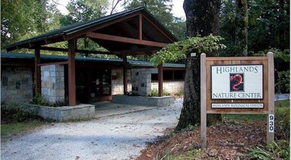 3 North Carolina Nature Centers That Make Excellent Family Day Trip Destinations