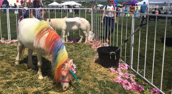There Is Such A Thing As A Unicorn Festival In Colorado And It Is As Magical As It Sounds