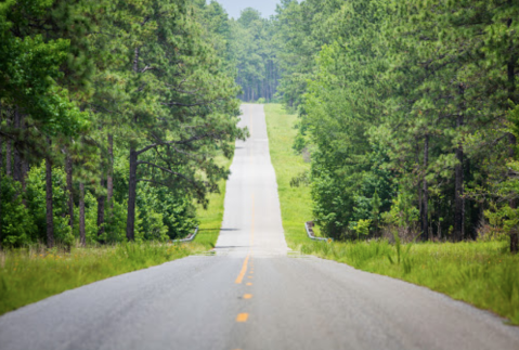 The Short And Sweet Road Trip Through Louisiana's National Forest You Can Take On A Single Tank Of Gas