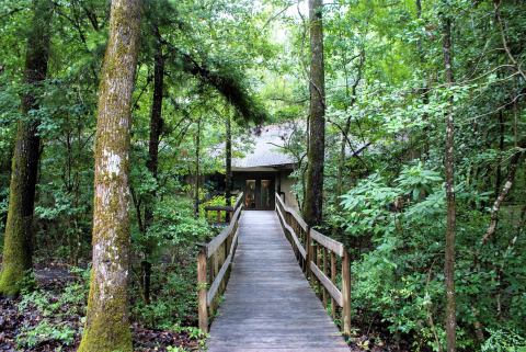 If There Are Only 3 Family Hikes You Ever Take In South Carolina, Follow These Easy Trails