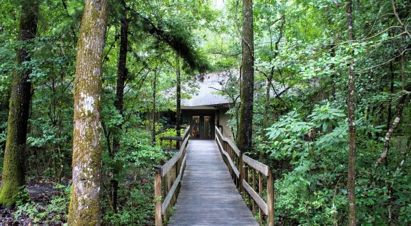 If There Are Only 3 Family Hikes You Ever Take In South Carolina, Follow These Easy Trails