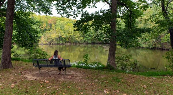 Enjoy A Peaceful Stroll Through The Woods And Wetlands At This Oft-Overlooked Kentucky State Park