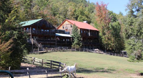 This Equestrian-Centric Resort In Tennessee Features Unique Lodging And Awesome Grub