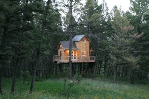 Little-Known Tree Houses Hiding In Montana That Will Bring Out Your Sense Of Adventure